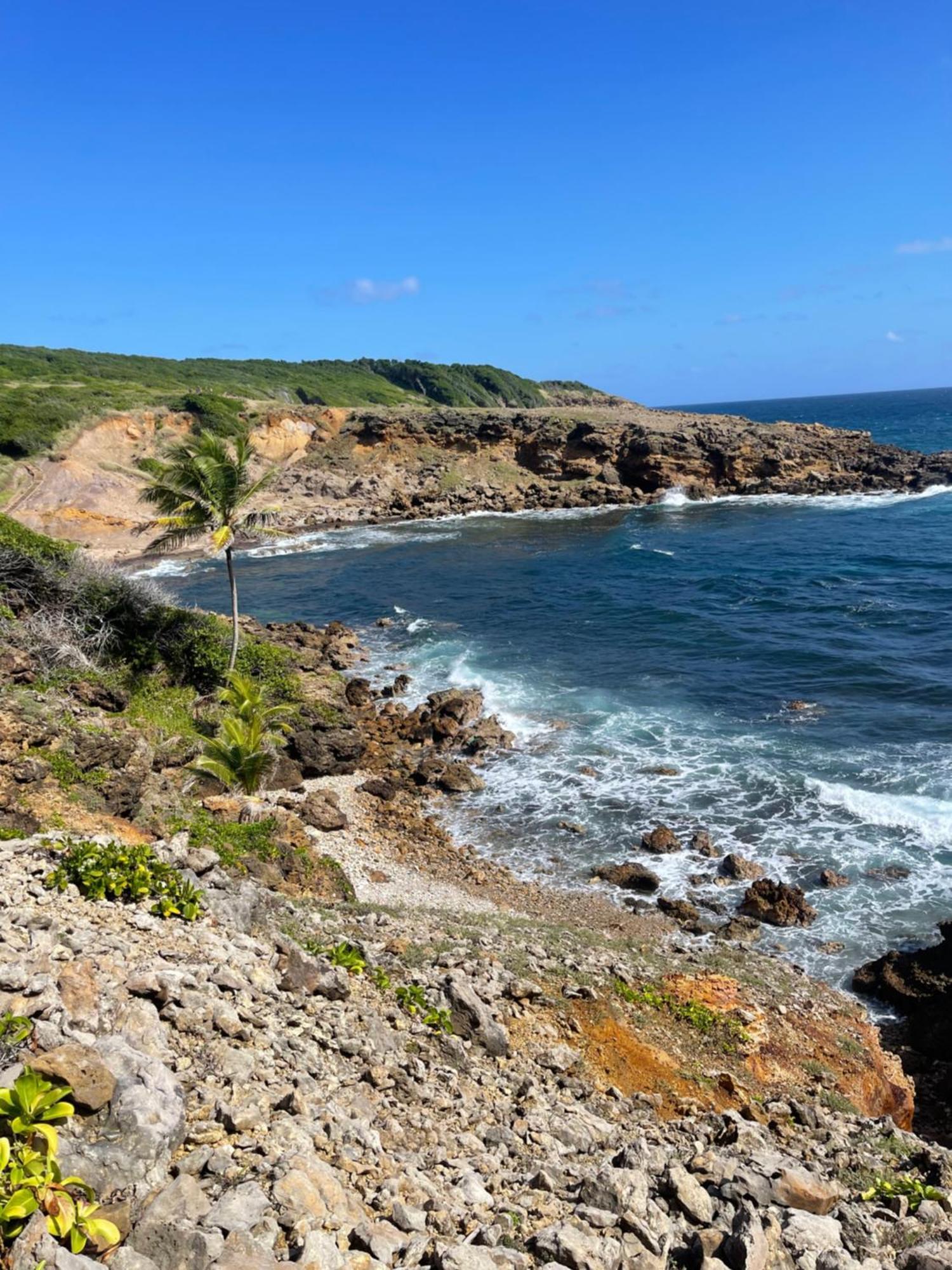 Appartement Vue Mer A 2 Minutes A Pied Des Plages Tartane Ла-Трините Экстерьер фото